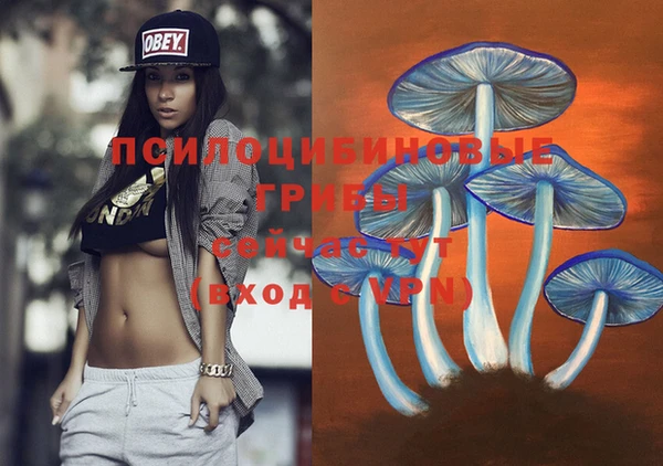бошки Абинск